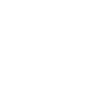 Anniversaires, mariages, soirées, foires...