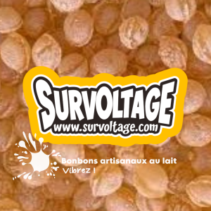 Les bonbons Survoltage